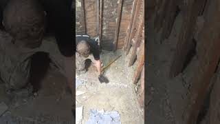 Old Tile Floor Removal diy demo shorts [upl. by Jemy]