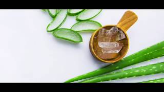 OVULOS DE ALOE VERA SABILA PARA LA CANDIDIASIS [upl. by Eimak]