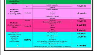 Infective Endocarditis Review and Summary [upl. by Klatt]