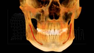 CONDUCTO DENTARIO INFERIOR Y AGUJERO MENTONEANO [upl. by Fadil]