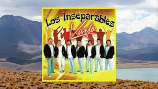 Los Inseparables  Vívelo Álbum Completo [upl. by Johiah]