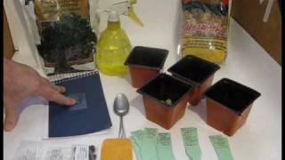 How to Grow Bonsai from Seed [upl. by Artemas]