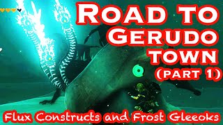 Zelda TOTK  Road to Gerudo Town Part 1  Flux Constructs and Frost Gleeoks Ep 40 [upl. by Nwahsat]