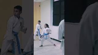 Karate Do infantil clases [upl. by Pitts245]