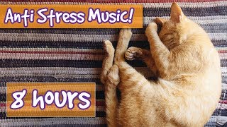 Relax Your Cat Calm Stressed or Anxious Cats with Relaxing Music Made to Reduce Stress Help Sleep [upl. by Alba]