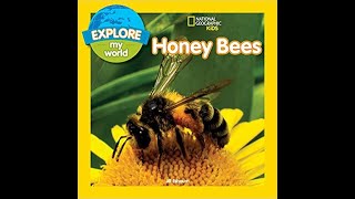 Read with Chimey National Geographic Kids Honey Bees read aloud [upl. by Sharona]