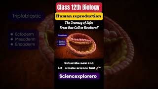 Human Reproduction Class 12th Biology chapter 3 ncert fully explained ncert sciencexplorero neet [upl. by Ahsekad]