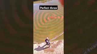 Perfect throw fishing fishingvideo fishinglife fishtank fisherman fishvideo river bass carp [upl. by Ahsaela]