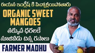 Organic Nuziveedu Mangoes In Hyderabad  Farmer amp Doctor Madhu Special Chitchat [upl. by Cornish]