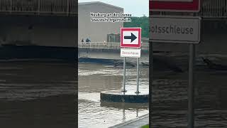 Hochwasser Neuburg an der Donau [upl. by Ettenim475]