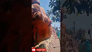 Devi talab mandir jalandhar youtubeshorts viralshorts temple worship watchatend ❤️ [upl. by Gnex534]