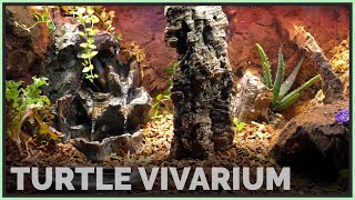 Creating a Bioactive quotMountainsidequot Vivarium for my Box Turtle [upl. by Aicinoid]