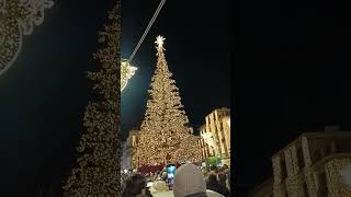 Accensione Albero Sorrento [upl. by Jacquelyn996]