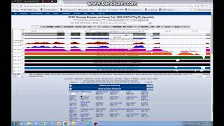 How to visualise RNAseq gene expression data on the UCSC genome browser tutorial 3 [upl. by Marala580]