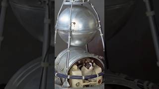 Laika la perrita en el espacio laika nasa espacio laikadog cohete misionespacial animals [upl. by Glanville]