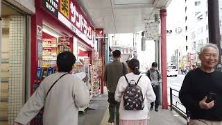 Asakusa Sensoji  October 29 2024 [upl. by Nothgiel]