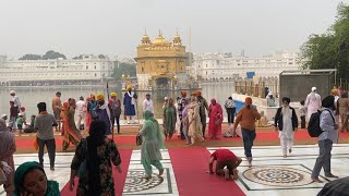 Asi Gae Amritsar Golden Temple 🙏🏻 Shri Harmandir sahib  Darbar sahib Amritsar [upl. by Odicalp]