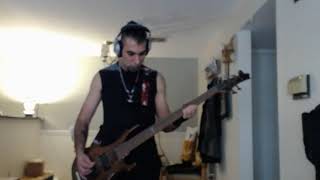 Tiamat  Cold seed bass cover [upl. by Eseer518]