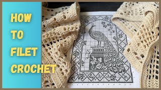 How to Filet Crochet Vintage crochet [upl. by Dollar853]