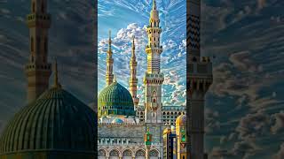 Beautiful Islamic Video🥰 shorts islamic shortsvideo makkah youtubeshorts allahﷻ tiktokvideo [upl. by Neomah]