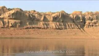 Glimpse of Chambal Ghati [upl. by Alekin]