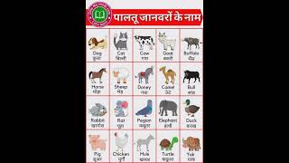 Domestic Animals name in English and Hindi [upl. by Giltzow]