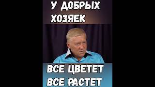 Пётр Гаряев У ДОБРЫХ хозяек всё ЦВЕТЕТ всё Растетshorts [upl. by Westmoreland]