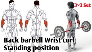 WorkoutTime Back Barbell Wrist Curl tamil gym fitness lifestyle [upl. by Leahcin]