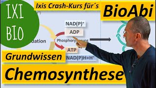 Chemosynthese  Grundwissen und Keywords zum Stoffwechsel chemoautotropher Organismen Bio Abitur [upl. by Nancie]