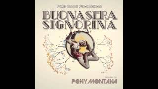 Dj Pony Montana feat Swingrowers  Buonasera Signorina  HQ [upl. by Bailie]