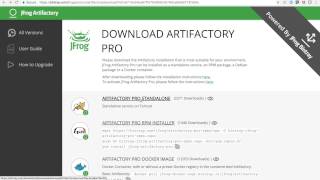 Screencast Upgrading Artifactory 4 to Artifactory 5 in under one minute [upl. by Ahsilrak]