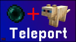 TELEPORT im SURVIVAL nur per REDSTONE  TUTORIAL  MC Java 119 [upl. by Schrader562]