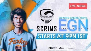 Pubg competitive player scrims EGN 9PM Daily Scrims  Pubg Mobile Scrims castingpubgmobile live [upl. by Briggs]