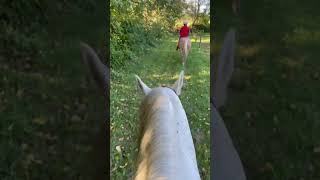 Older horses are priceless  horse horserides horseriding horsegirl trailriding [upl. by Moia]