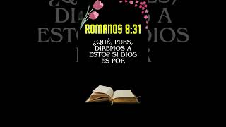 ✅VERSÍCULO de HOY😇 versiculodeldia oracion dios feendios religion versiculodelabiblia [upl. by Essilec694]