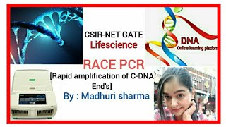 RACE Rapid amplification of CDNA Ends CSIRNETGATETECHNIQUES [upl. by Nagy]