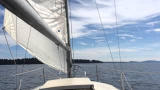 Sailing Ladysmith Harbour with the scrappy yacht [upl. by Bachman667]