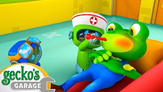 Gecko Gets Sick  Educational Videos for Kids [upl. by Shutz]