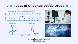 Oligonucleotide Synthesis [upl. by Goodden58]