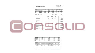 Consolid Loonstrook payroll [upl. by Nnylassej901]