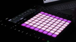 Melocactus  Ableton Push 2 Live Performance [upl. by Tobit]