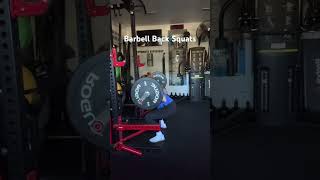 Barbell Back Squats [upl. by Lekkim361]