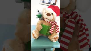 Christmas Bear [upl. by Any]