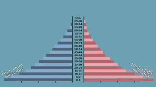 Population pyramid [upl. by Ainesy]