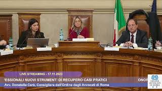 ONORARI PROFESSIONALI NUOVI STRUMENTI DI RECUPERO  17112023 [upl. by English]