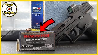 Segmenting 22lr SelfDefense KINGWinchester Silvertip vs CCI Segmenting HP AMMO Test [upl. by Netsriik]