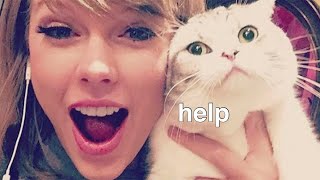 Taylor Swift being bullied by her cats for 2 minutes straight [upl. by Frances]