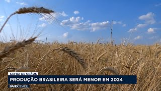 Produção brasileira da safra de grãos será menor em 2024 [upl. by Medwin547]