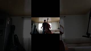 kadenza contemporaryart doublebass music bogota colombia bajo shorts fyp musica recorder [upl. by Nailliw]