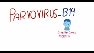 Parvovirus B19  Fifth Disease  pathogenesis clinical features diagnosis and management [upl. by Cloris583]